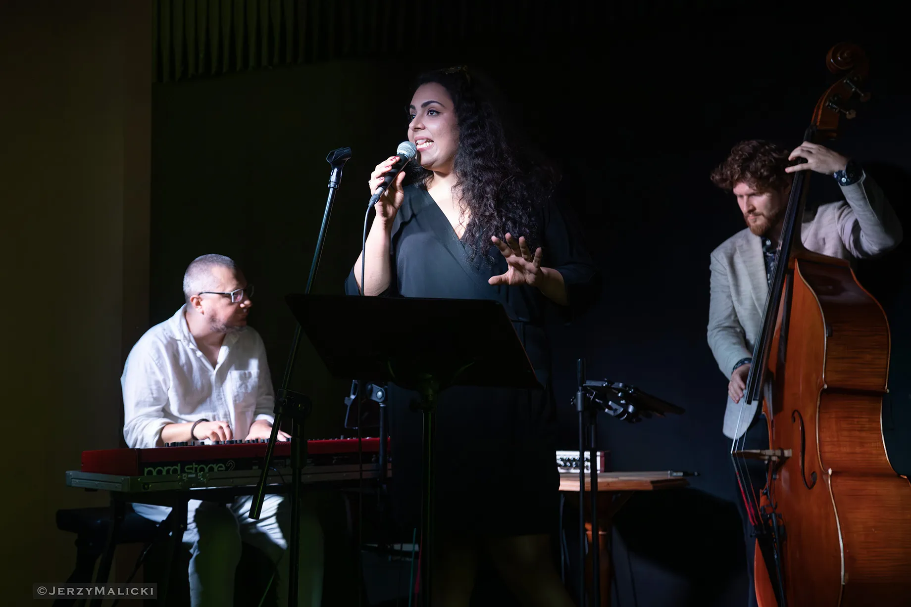 Zabytki i jazz. Pałac w Starym Kisielinie. Tribute to Ella Fitzgerald - Zuza Babiak Quartet 17:22