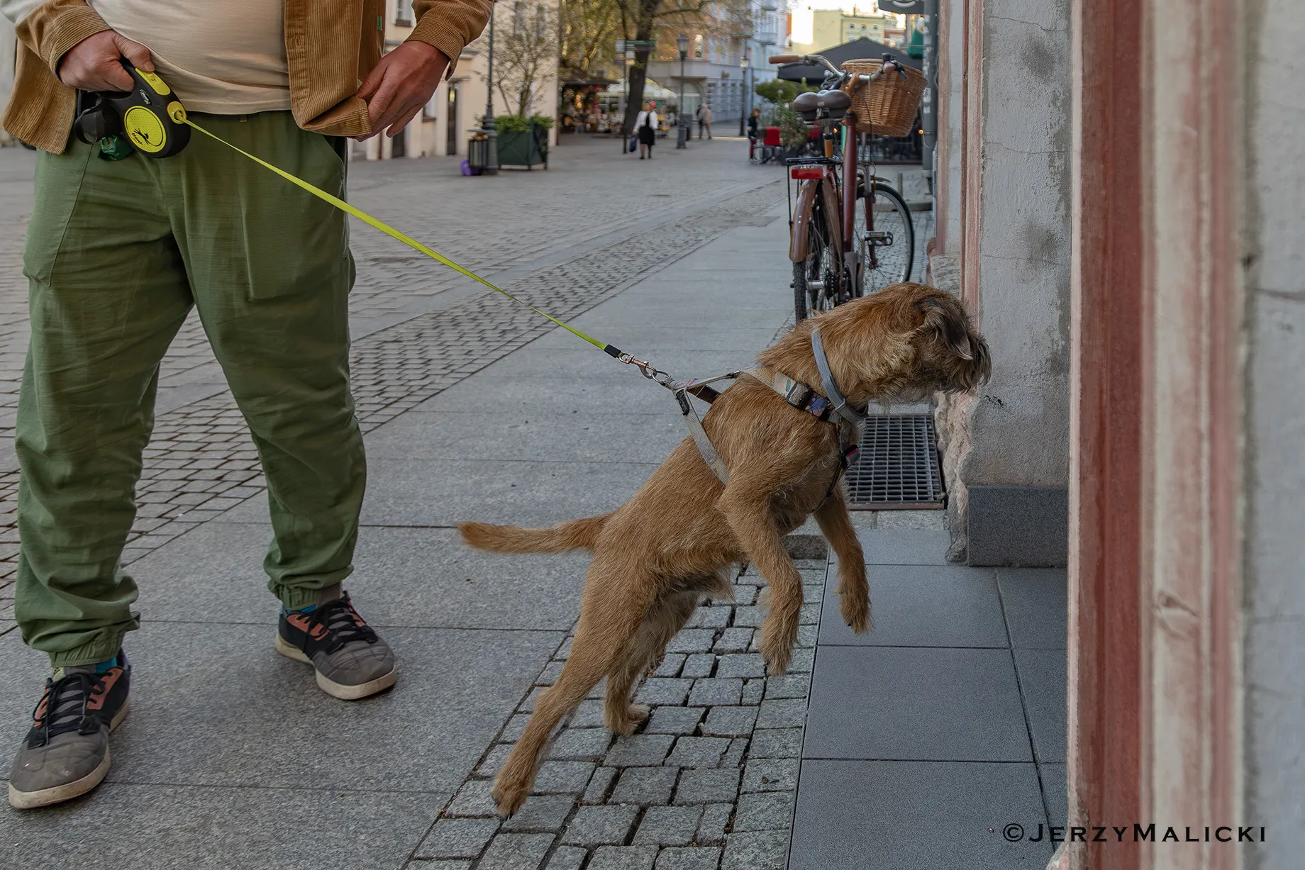 5. Zielonogórskie Spotkania Artystyczne. Wernisaż wystawy Tomasza Brody 17:25