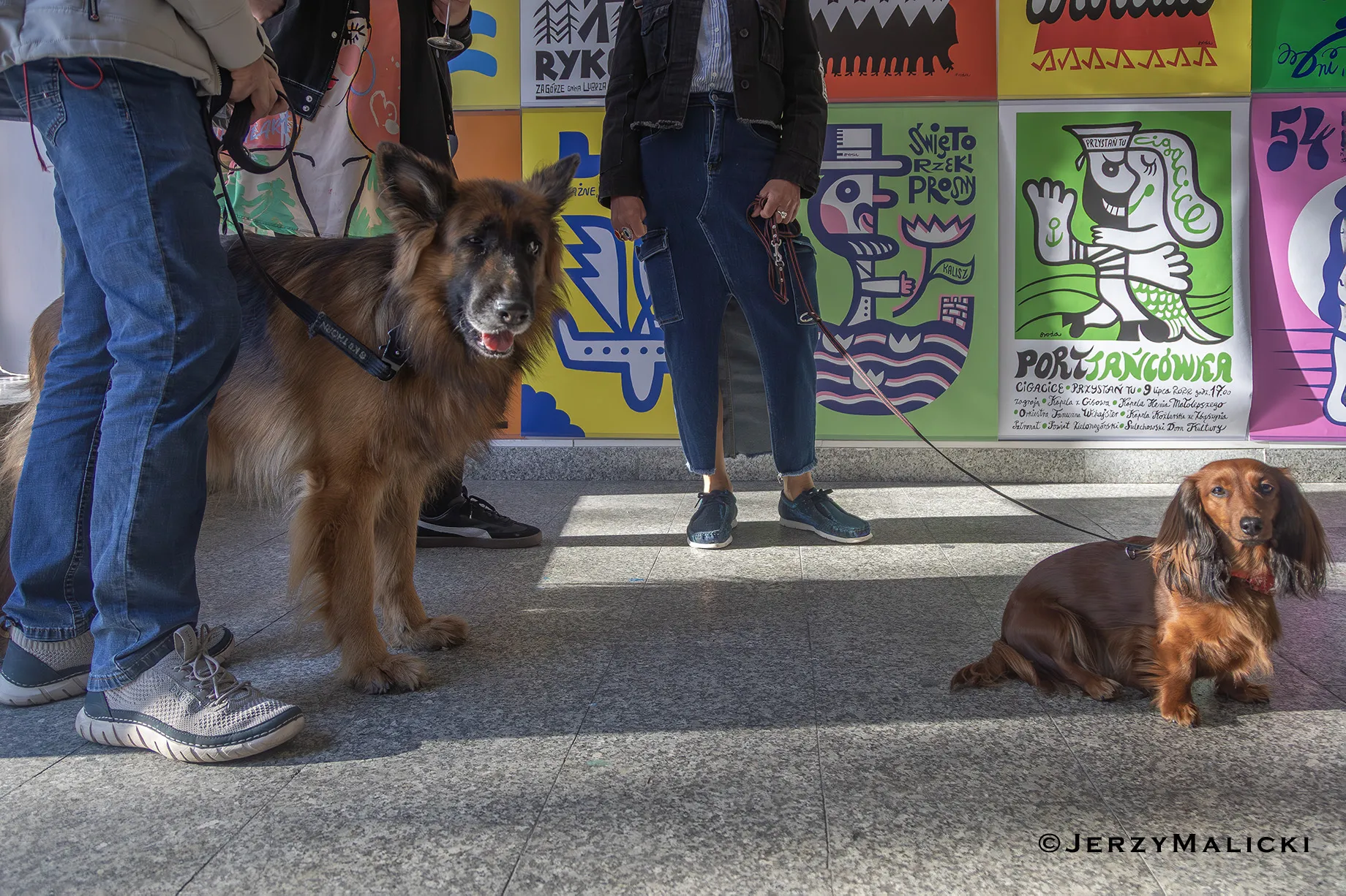 5. Zielonogórskie Spotkania Artystyczne. Wernisaż wystawy Tomasza Brody 16:50