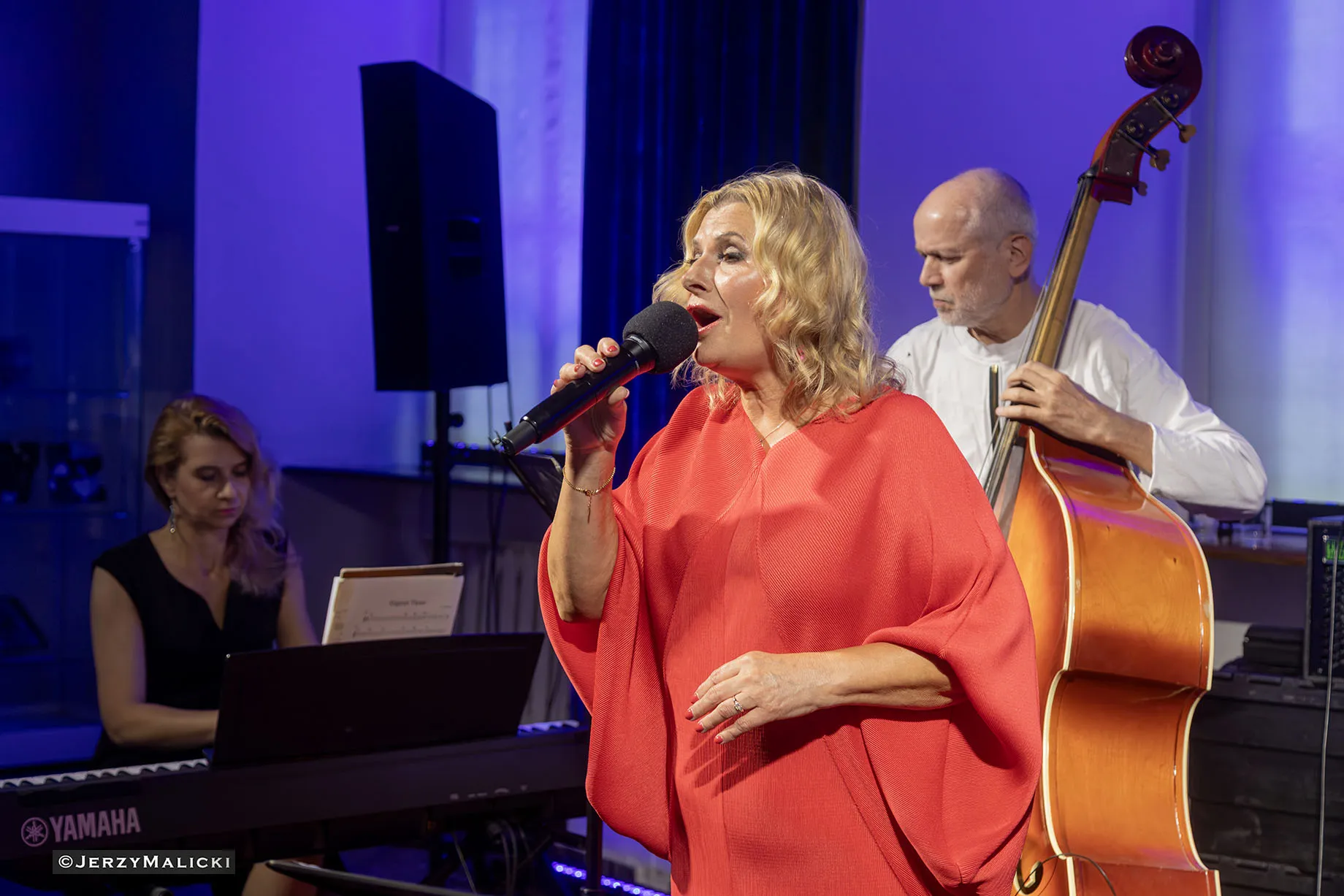 Jazz w pałacach - Świdnica- Grażyna Auguścik, Aleksandra Mońko- Allen Trio 17:26