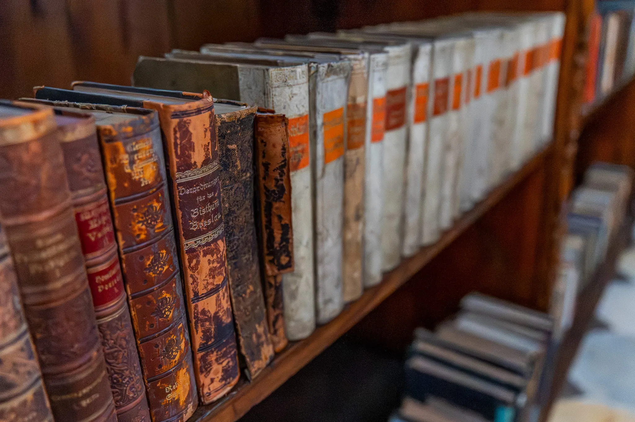 7 Jazz Crossing Festival - Jazz w dawnym Opactwie Kanoników Regularnych Reg. Św. Augustyna w Żaganiu 