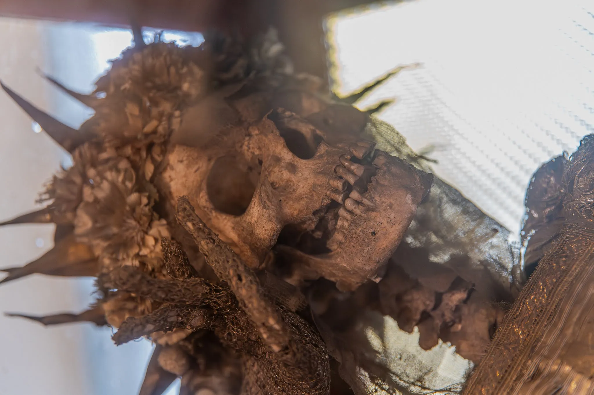 7 Jazz Crossing Festival - Jazz w dawnym Opactwie Kanoników Regularnych Reg. Św. Augustyna w Żaganiu 